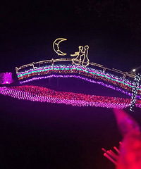 ����ʱ��û�������������Ժ����̫Ư����