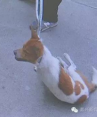 С�ģ������Ÿ��� ����12������ ��ͬһ���˹�ҧ�ˣ�