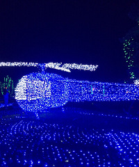 ��л19¥����Ư����÷���ޣ���ĺܿ���