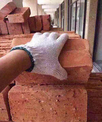 ���۱�����  �Ժ� ��Щũ�塢ɽ������Ĵ�ѧ������ô�죿