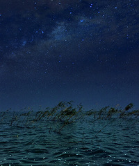 ����-����Լ��