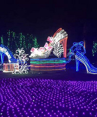 ��������������Ĳ����о�