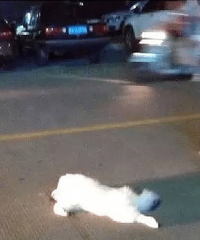 �������۳�ѹ��һ���� �������չ�˾������