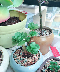 ������㡿+�ҵ�����