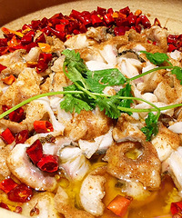 �ϲ��ٶȳ��� һ�ݳ���ķ������������ɳ��ֻ����89��