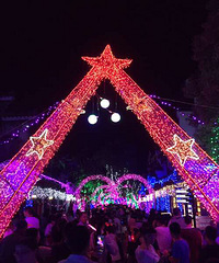 �˴��ڣ�÷���޵ĵƹ�������Ĳ��񻰣�����