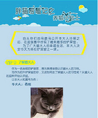 Ӣ�̺����̵��Ը���