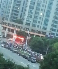 ¶������ÿ�쳳�Ĳ�����