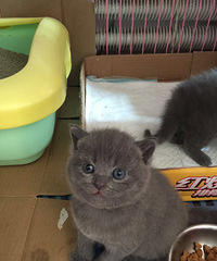 ����ǣ���һ������£�С�һ�����Լ���