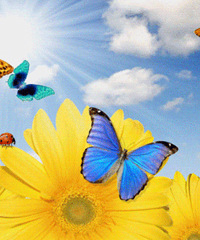 ��ѣ���Ȧ�����������չ��Ʊ