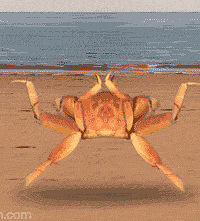 ����Ȧ�н����������κ���բз��4�ݣ�������