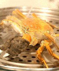 488Ԫ���������κ���բз4�� ����!