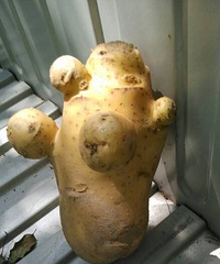 ����ֵ�һ��������ͦ����ģ�