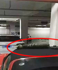 ��ʱ���ϴ���� �û��ǣ�