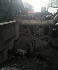 ���һ�춼������