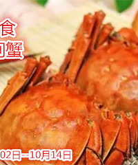 ��һֻ�з���˻� APP����������������