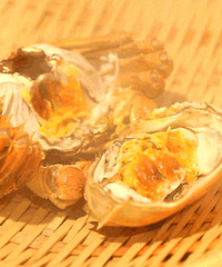 ɹ����������� �ʹ�բз��