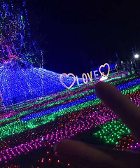 ÷���ݵƹ��