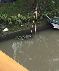 ����Ҧׯ��ڳ��ָ�ʬ ���ڴ����С���