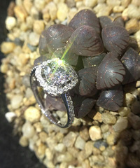 ԭ����ʯ�����߲ʵ�