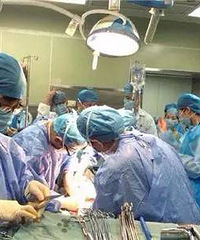 ���գ�����һ��������ʱ�����������⣡����ʱ��31Сʱ�󡭡�