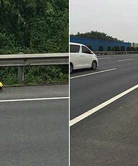 ���������� ��Ҫ���ˣ���