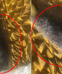 ����������������ë�� ���г����ҷɣ�