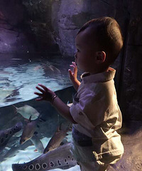 ����������+��ţ��ȥħ����ˣ��