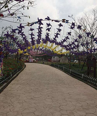 ����չ��������