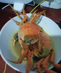 �Ȼ����ٿ�