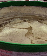 �̷ۿ���5��ͽ�� ��������