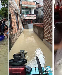 ̨������ �����氮