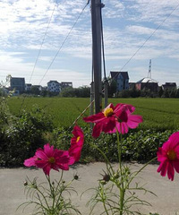 ��Ư���Ļ�