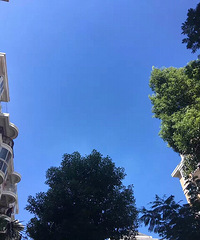 һ��ͼ��ѧУ�����������������