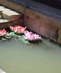 һ��ͼ֤�� ����÷����