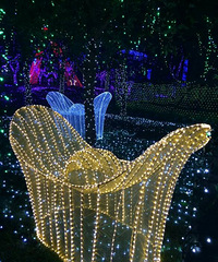 ÷��������