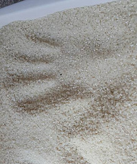 ����������Ϲ�԰�������ﶼ�г��ڣ� ����