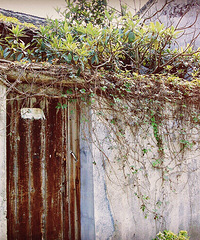 ��ʵ�����ֶ����Ҷ�����С��ʱ��ûʲôӡ��