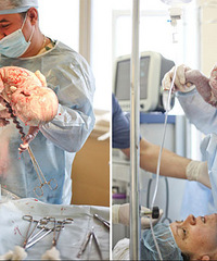 ��ʹ��Ϊ���Ϲ��ҵ����ð������˫��̥ �����������̨����