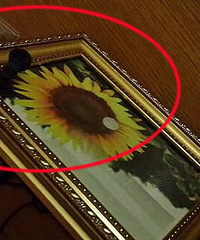 ���غ�Ů��ȥ���� �Ƶ귿�䷢���������ͷ