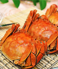 ɹ��ʳ Ӯȡ���з��