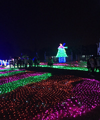 ��Ư����