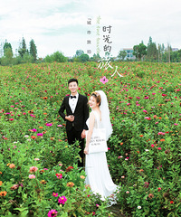 �����Ǽ����ĸ�����