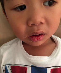 ����������֪�����ĸ��ð�����