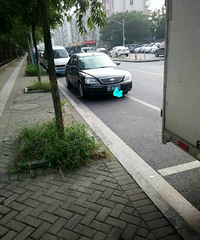 ����ͣ��