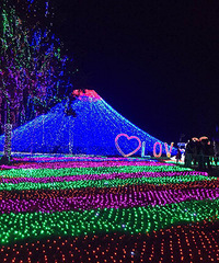 ÷���޵ƹ��