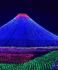 ÷���޵ƹ��