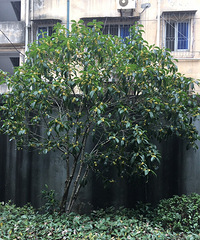 ����ʮ�£�����