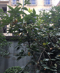 ����ʮ�£�����