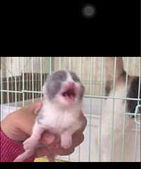 ������OK�� ��Ͳ���ɤ�Ų�С ��������